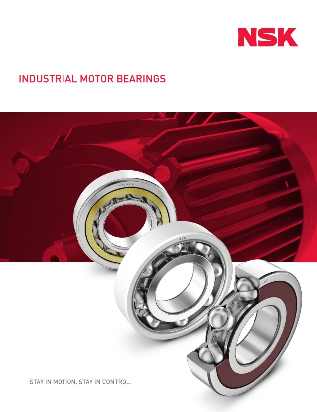 Industrial Motor Bearings