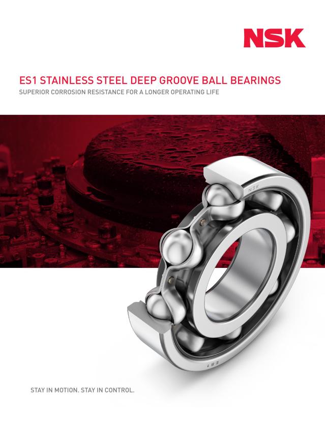 ES1 Stainless Steel Deep Groove Ball Bearings